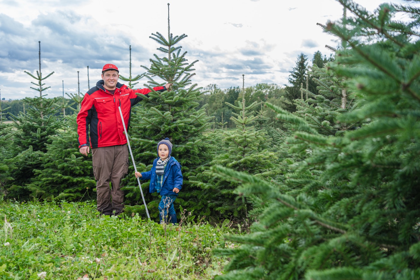 Vater und Kind in der Christbaumkultur