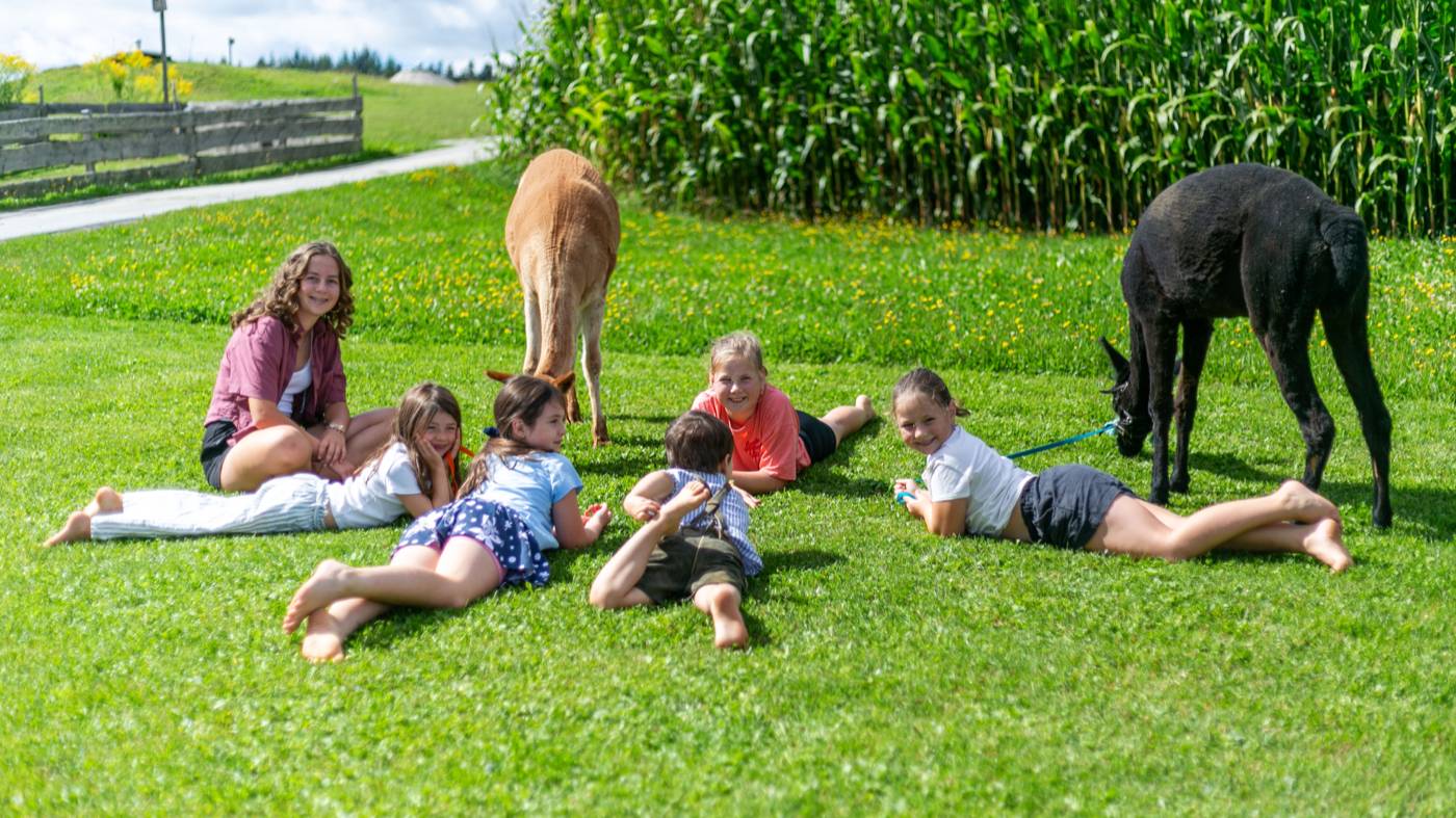 Kinder mit Alpakas auf der Wiese am Ferienhof Weishäupl