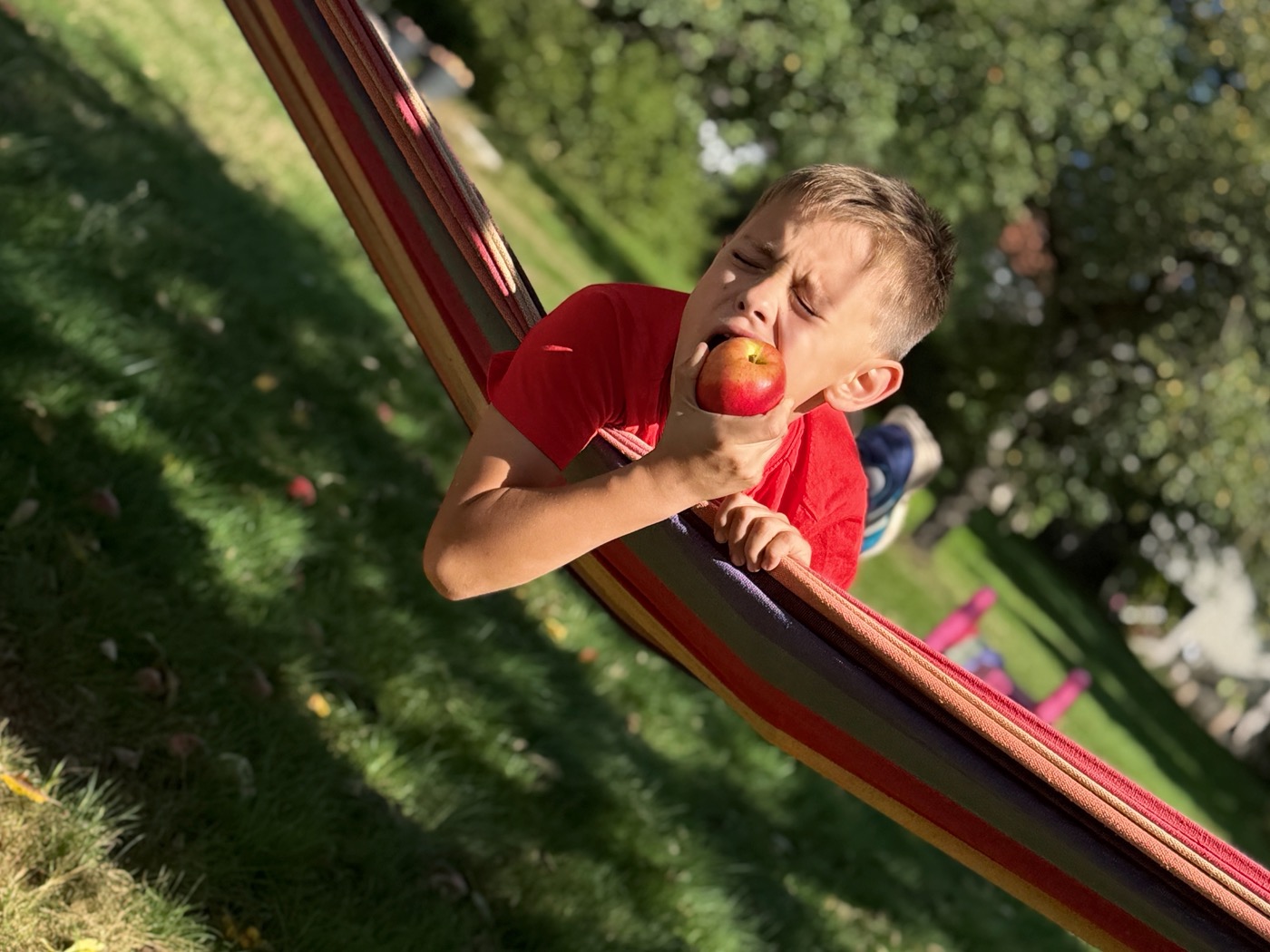 Junge mit Apfel in der Hängematte